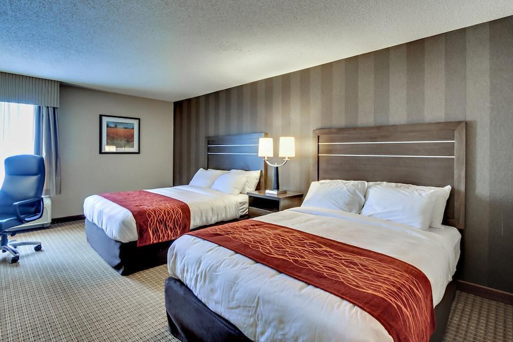 Quality Inn & Suites Bel Air I-95 Exit 77A Eksteriør billede